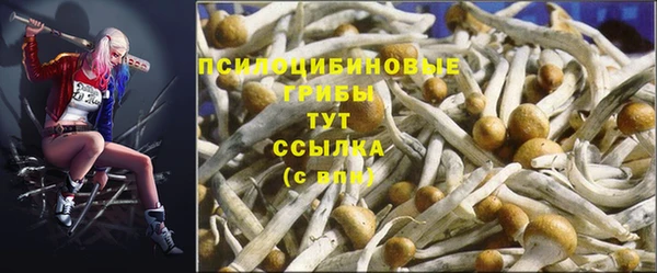 метадон Нягань