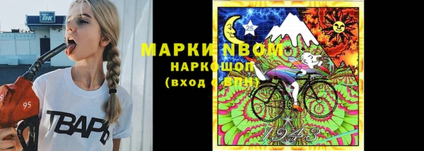 прущие грибы Алзамай