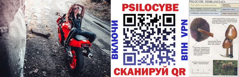 Галлюциногенные грибы Psilocybe  Павловская 